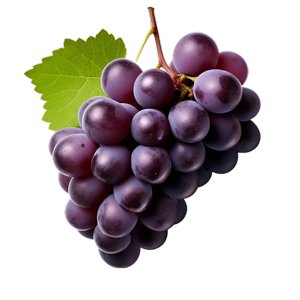 Grape 4 1 نهالستان پویا نهال