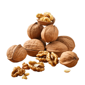 Picture of walnuts a food photo specializing in nuts g 1 4 1 نهالستان پویا نهال