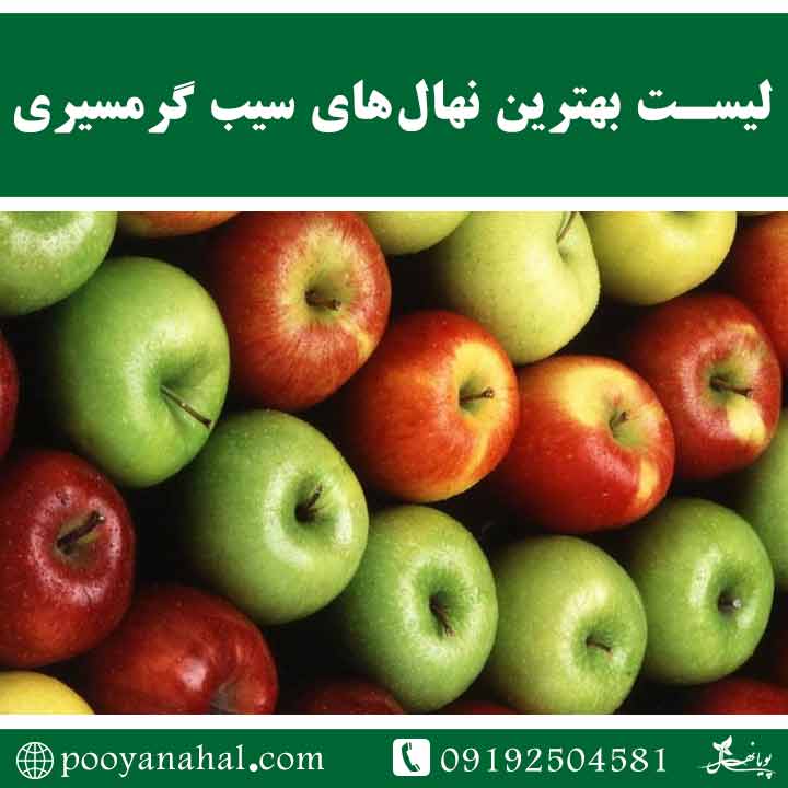لیست بهترین نهال‌های سیب برای کاشت در مناطق گرمسیری